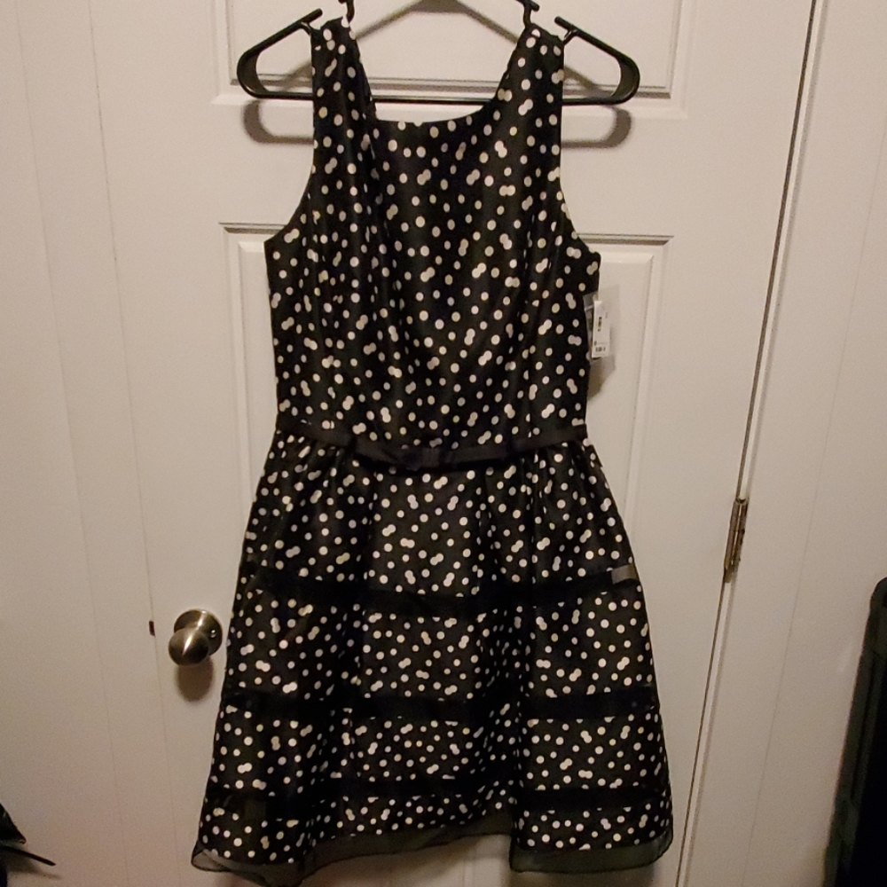 NWT The Limited Black/White Polka Dot Dress Sz 8